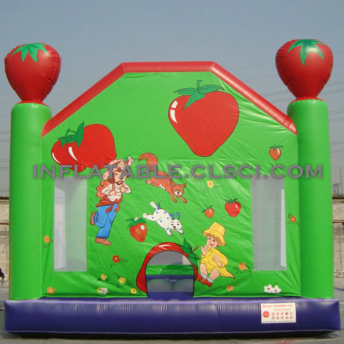 Buying T2-2586 Inflatable Bouncers in the USA