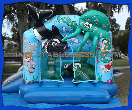 Buying T2-594 inflatable bouncer in the USA